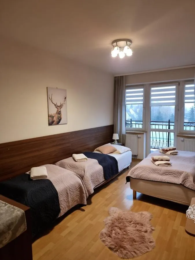 Villa Broniewskiego Zakopane